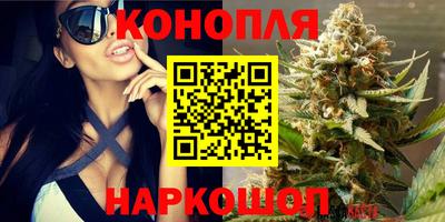 МДПВ Аргун