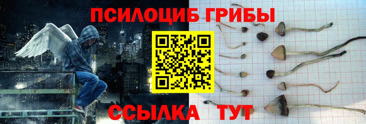 Берёзовский  где купить наркоту  Вход с VPN  Псилоцибиновые грибы Magic Shrooms 