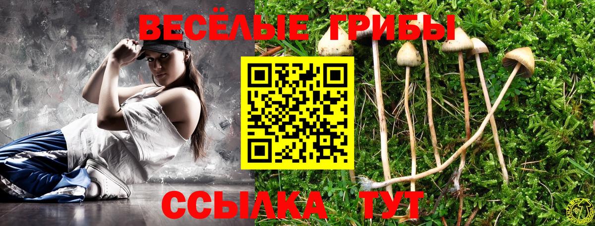 Псилоцибиновые грибы ЛСД Берёзовский